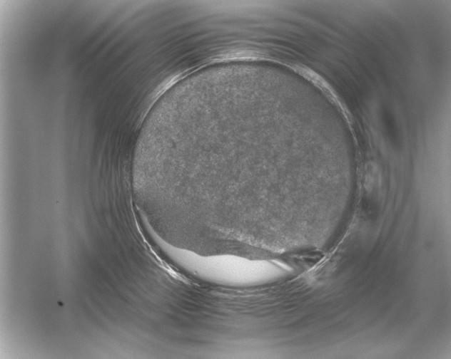 X0000051881337200507221939