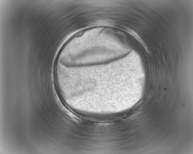 X0000051881339200507221939