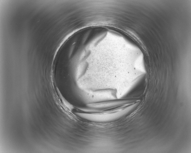 X0000051881340200507221939