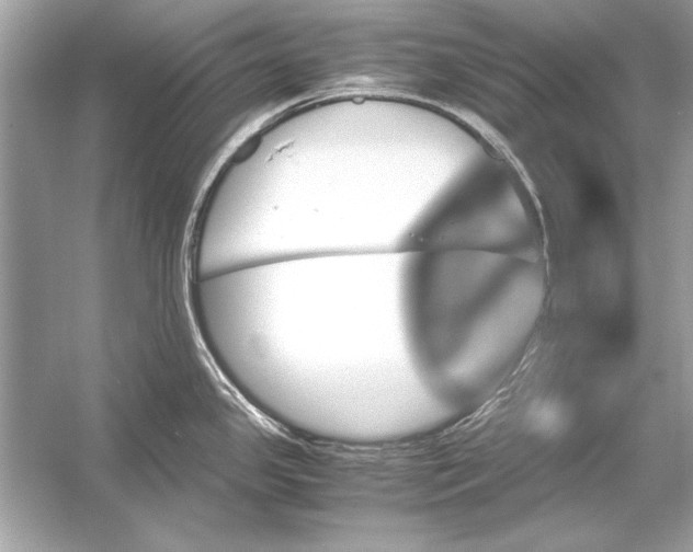 X0000051881341200507221939