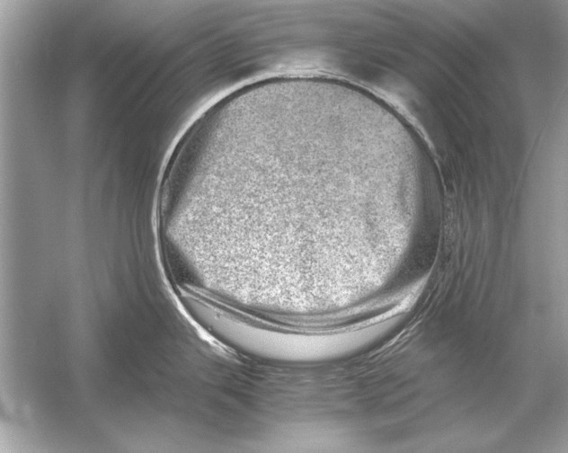 X0000051881343200507221940