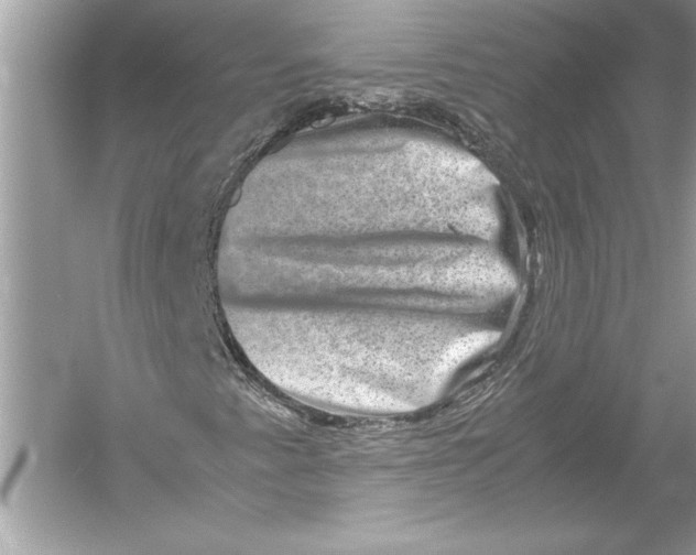 X0000051881345200507221939