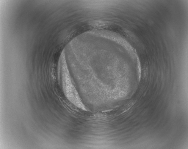 X0000051881346200507221939