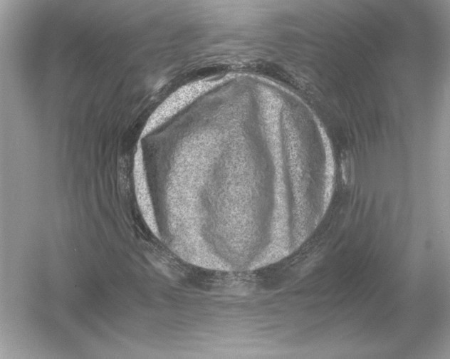 X0000051881347200507221939