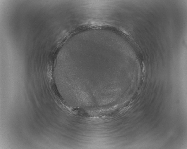 X0000051881348200507221939