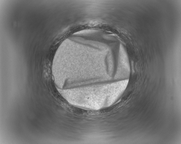 X0000051881349200507221939