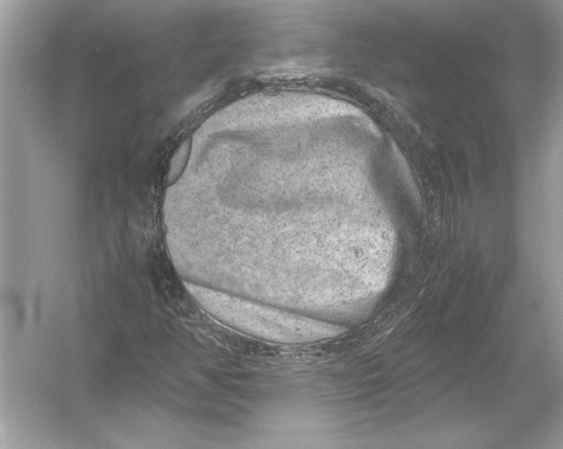 X0000051881350200507221939