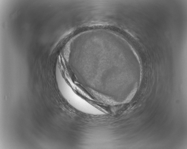 X0000051881351200507221939