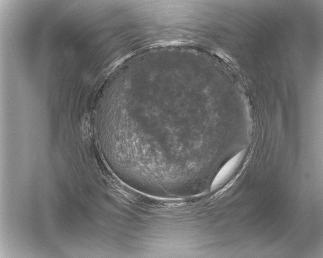 X0000051881353200507221939