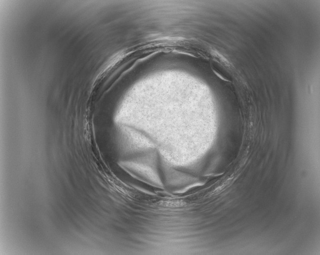 X0000051881354200507221939