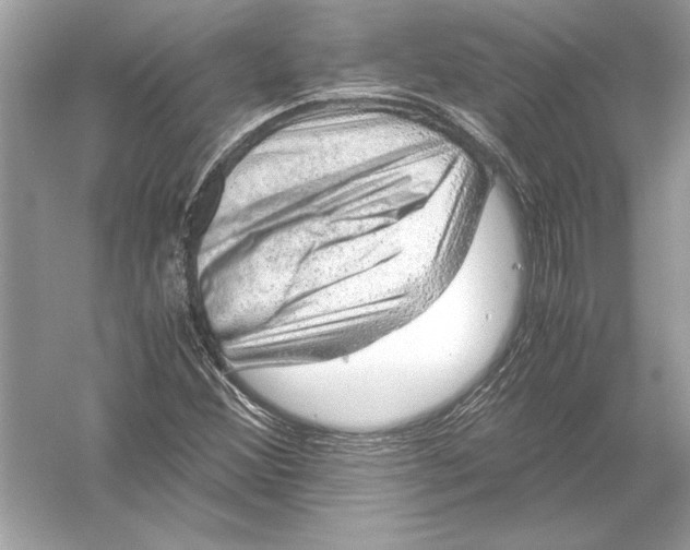 X0000051881356200507221939