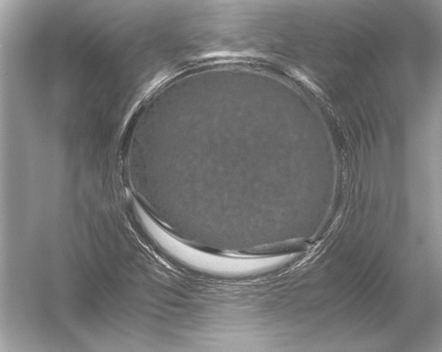 X0000051881357200507221939