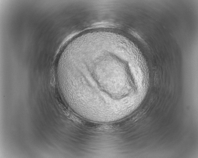 X0000051881358200507221938