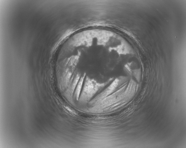 X0000051881359200507221938