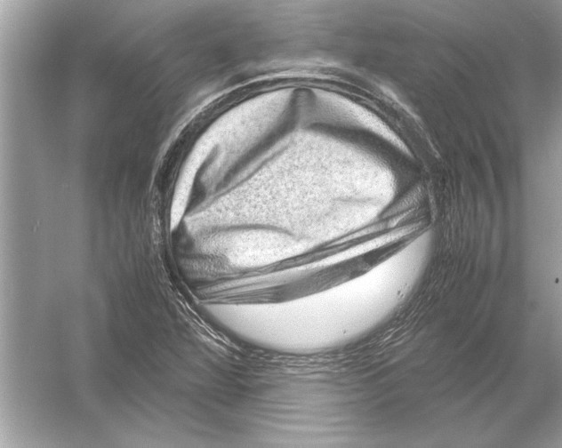 X0000051881360200507221938