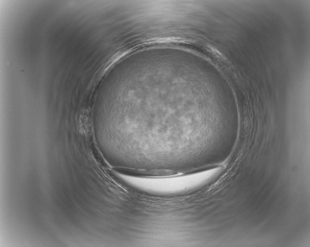 X0000051881361200507221938