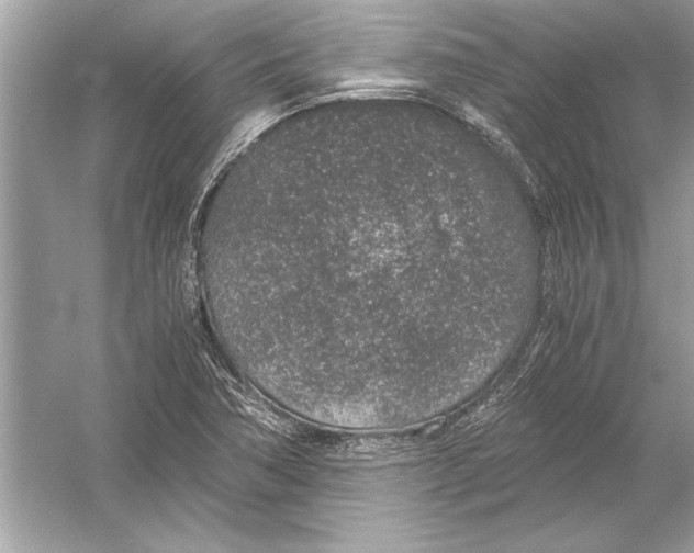 X0000051881362200507221938