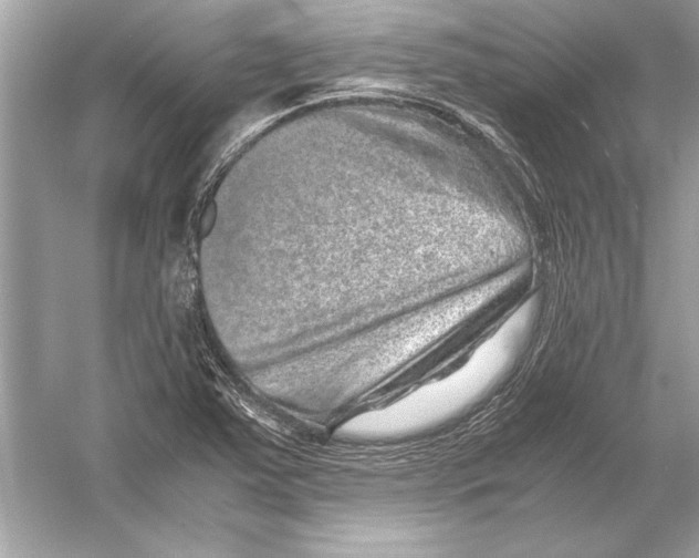 X0000051881363200507221938