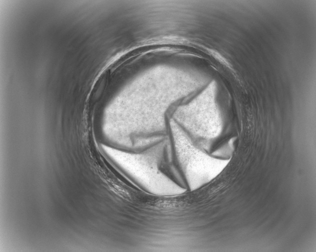 X0000051881364200507221938