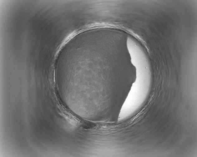 X0000051881365200507221938