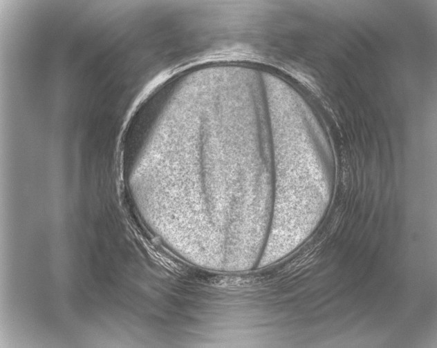 X0000051881366200507221938