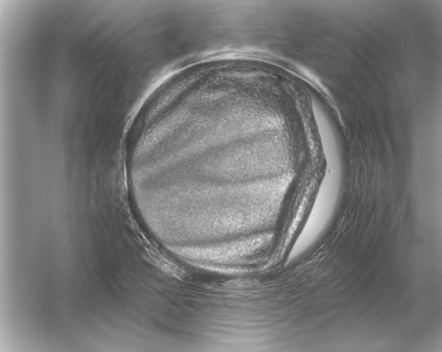 X0000051881368200507221938