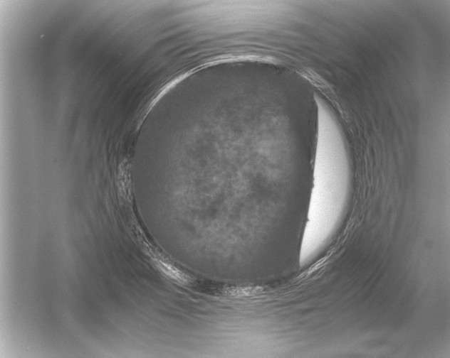 X0000051881369200507221938