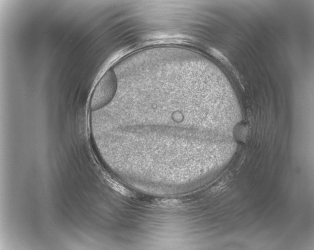 X0000051881370200507221938