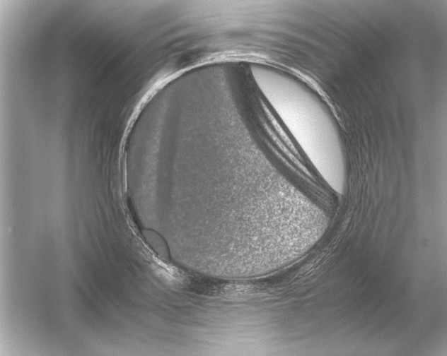 X0000051881371200507221938