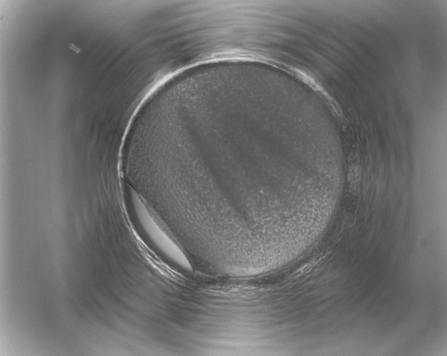 X0000051881372200507221938