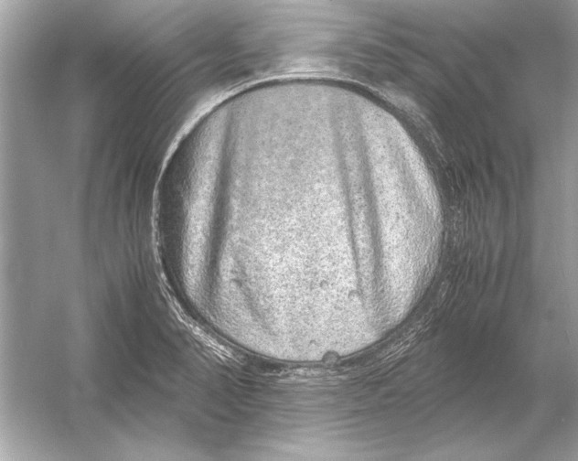 X0000051881374200507221938