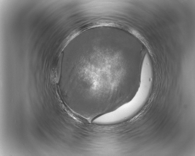 X0000051881377200507221938