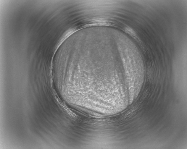 X0000051881378200507221938