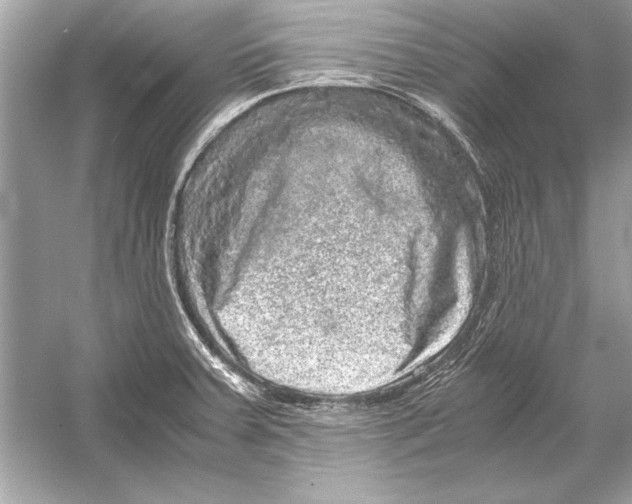 X0000051881379200507221938