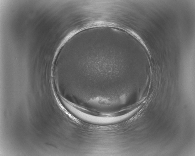 X0000051881381200507221938