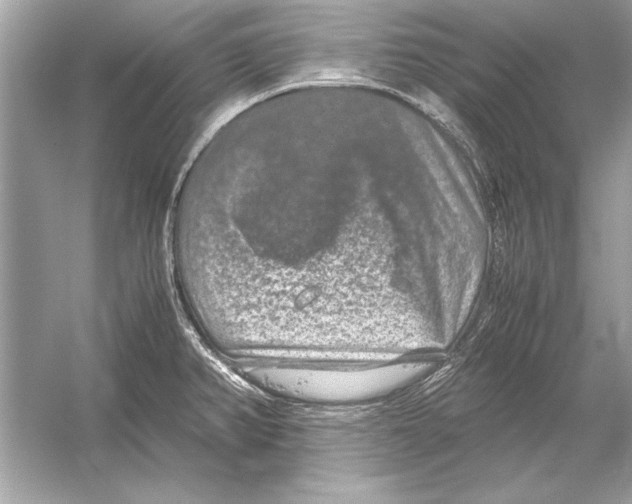 X0000051881382200507221938