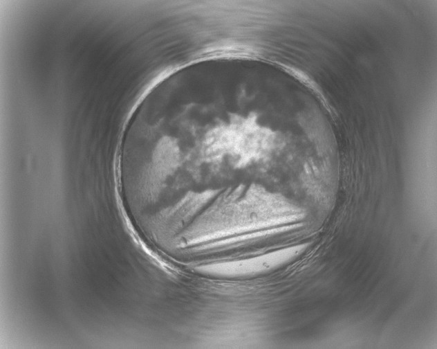 X0000051881383200507221938