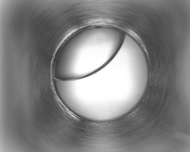 X0000051881384200507221938