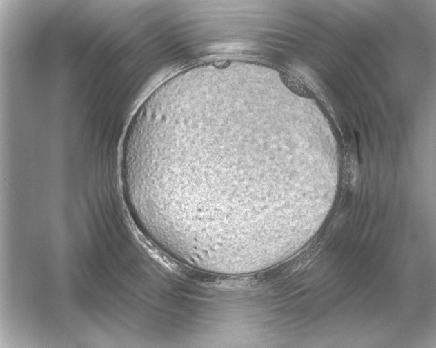 X0000051881386200507221938