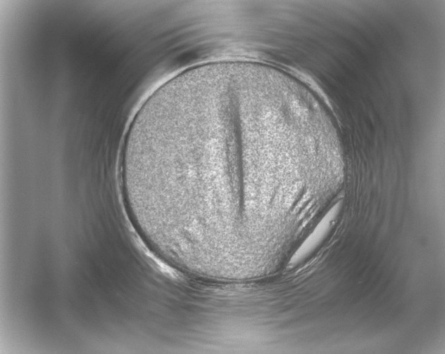 X0000051881387200507221938