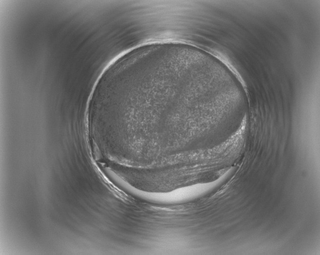 X0000051881388200507221938