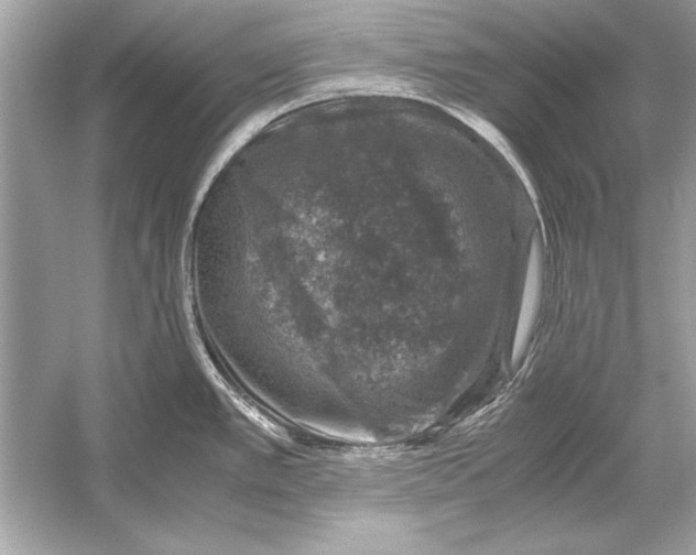 X0000051881389200507221938