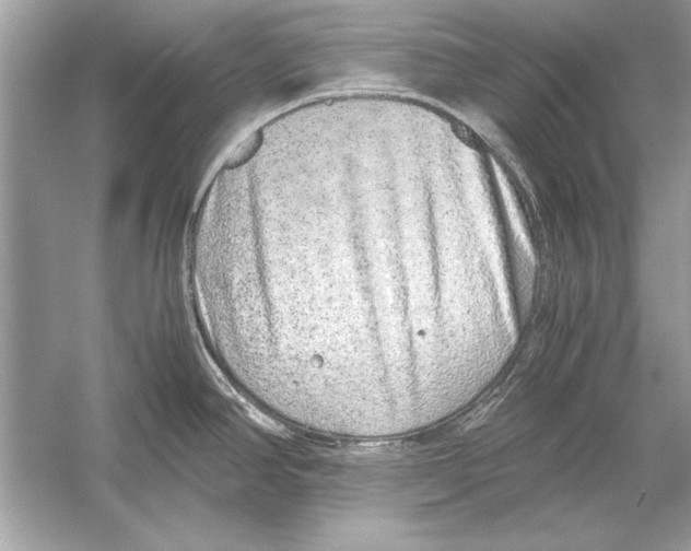 X0000051881390200507221938