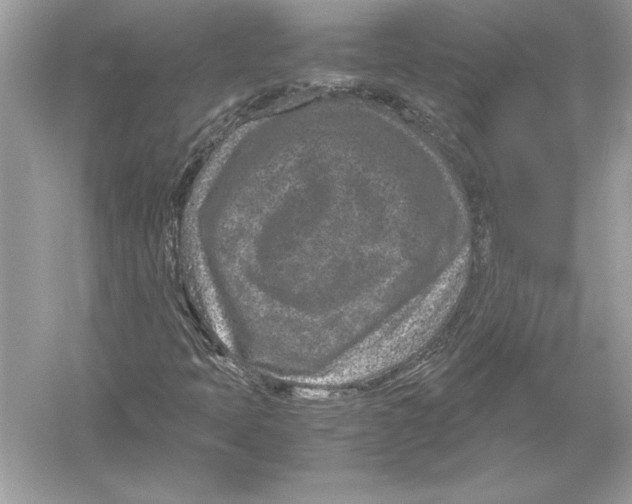 X0000051881397200507221937