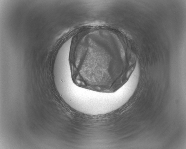 X0000051881398200507221937