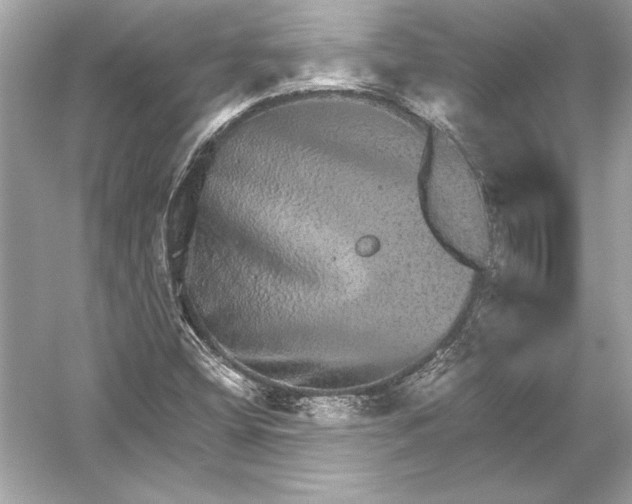 X0000051881404200507221937