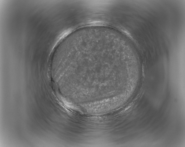 X0000051881405200507221937