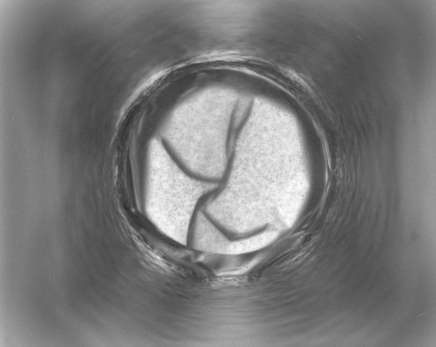 X0000051881406200507221937