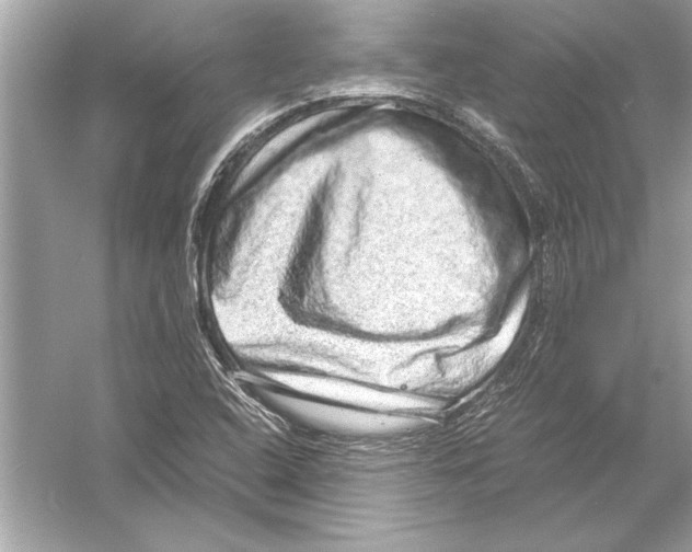 X0000051881408200507221937