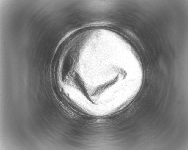 X0000051881412200507221937